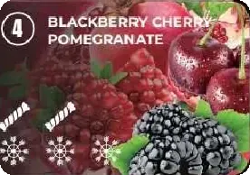 04 — Blackberry Cherry Pomegranate