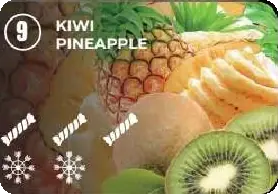 09 — Kiwi Pineapple