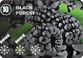 10 — Black Forest